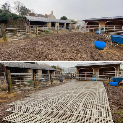 🐴💥 105 m² INB-Paddockplatten-Sparpaket für 2900 € – Abholung gratis & Versand möglich