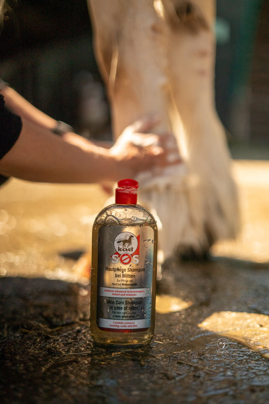 Leovet SOS Hautpflege Shampoo bei Milben, Milbenshampoo, 500ml