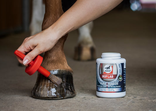 👉 Leovet Huföl 450ml – Premium Hufpflege mit Pinsel – Glanz & Schutz für gesund