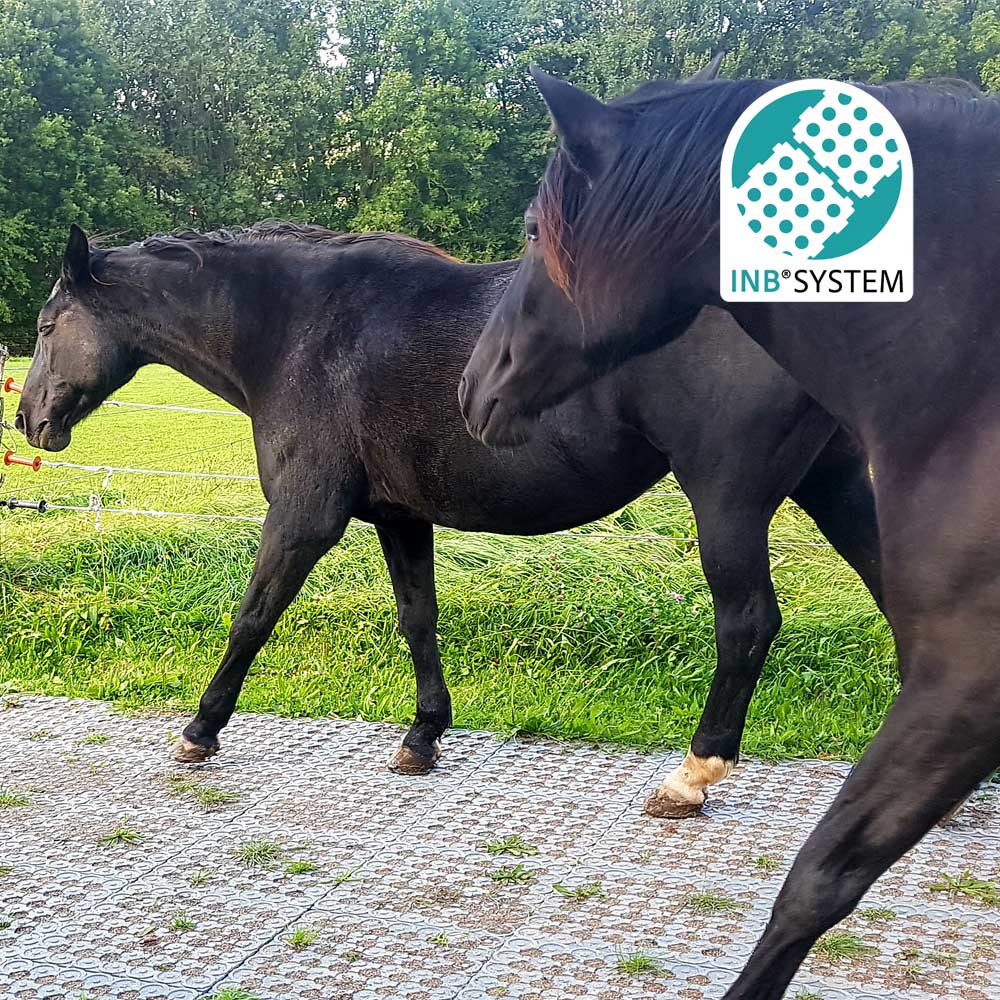 🐴💥 105 m² INB-Paddockplatten-Sparpaket für 2900 € – Abholung gratis & Versand möglich