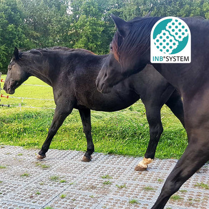 🐴💥 105 m² INB-Paddockplatten-Sparpaket für 2900 € – Abholung gratis & Versand möglich